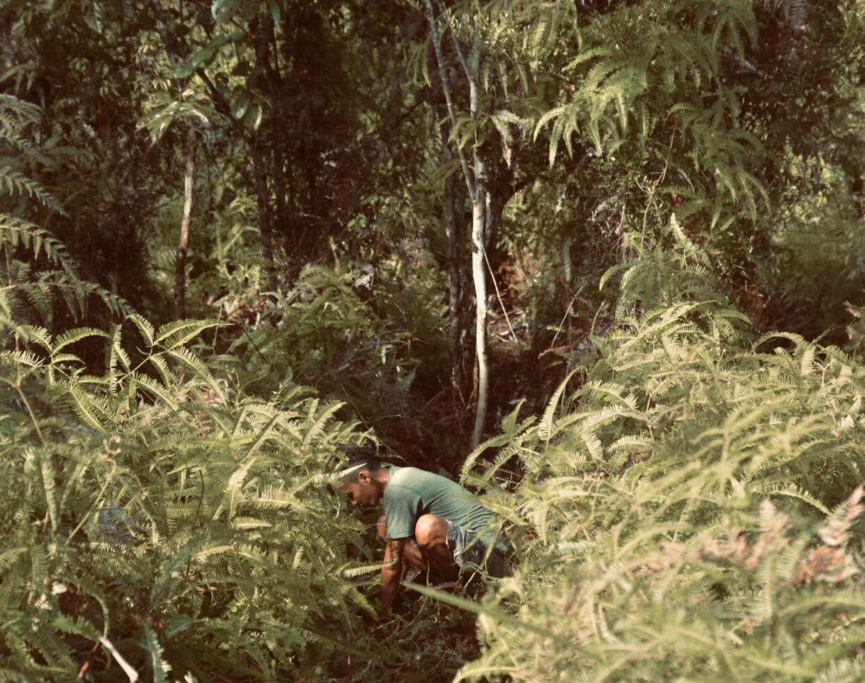 The art of planting a tree Indonesian man planting a tree