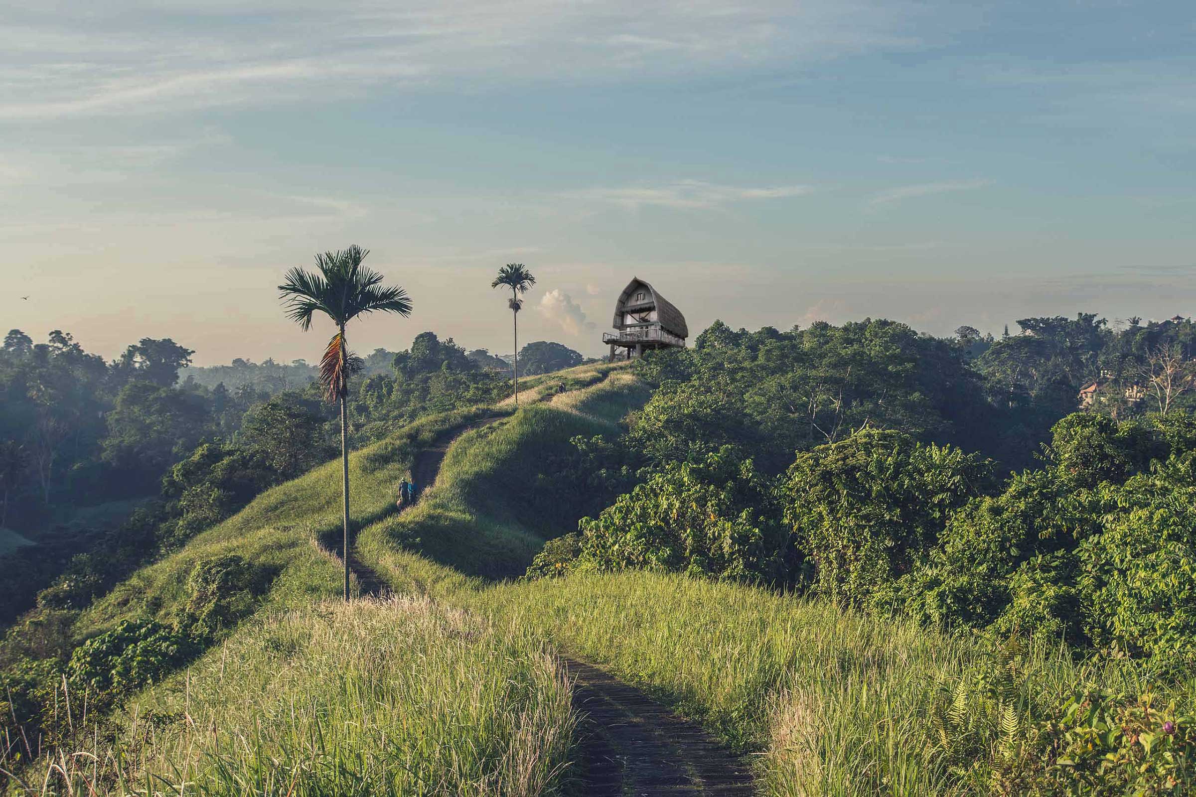INBALI Furniture Lab - Online Balinese Furniture Shop INBALI Furniture Lab - Online Balinese Furniture Shop