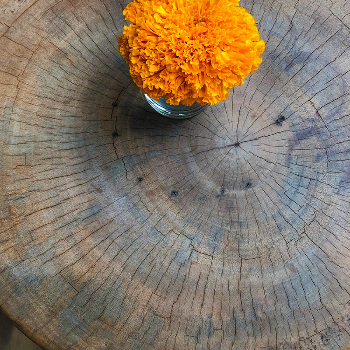 Locally sourced and certified teak | INBALI